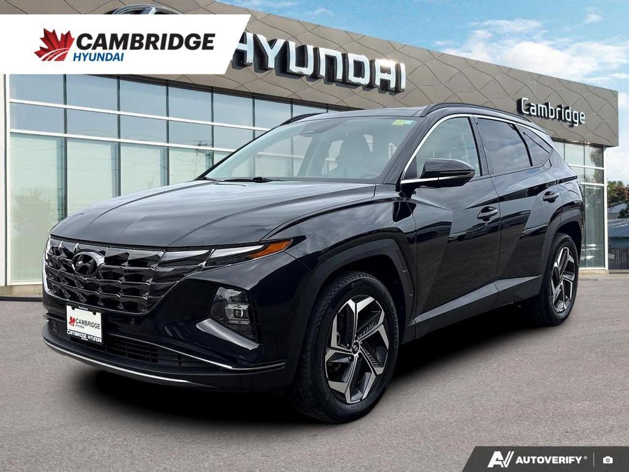 2024 Hyundai Tucson Hybrid Ultimate Photo0