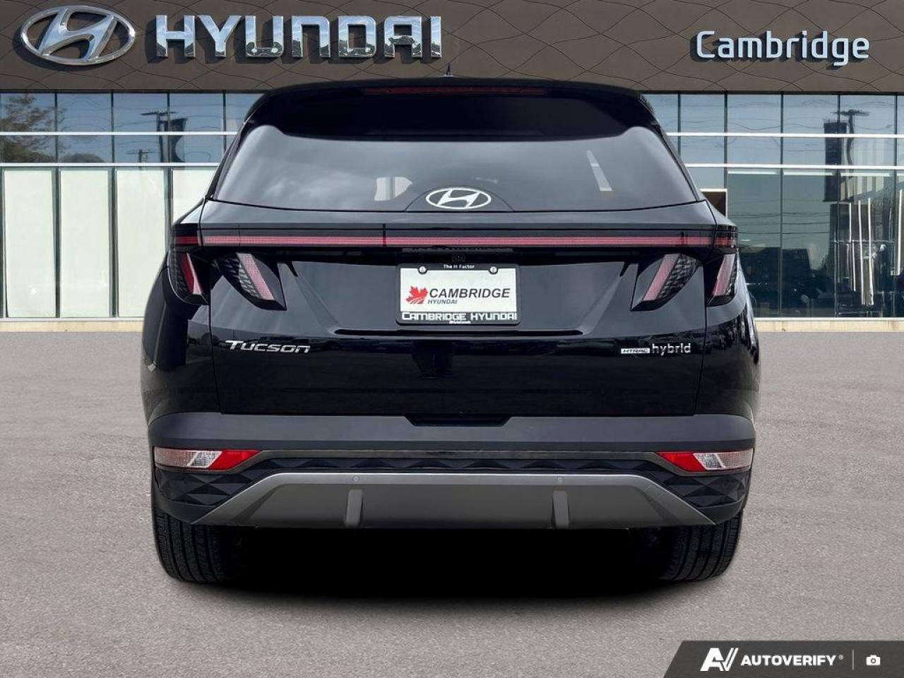 2024 Hyundai Tucson Hybrid Ultimate Photo
