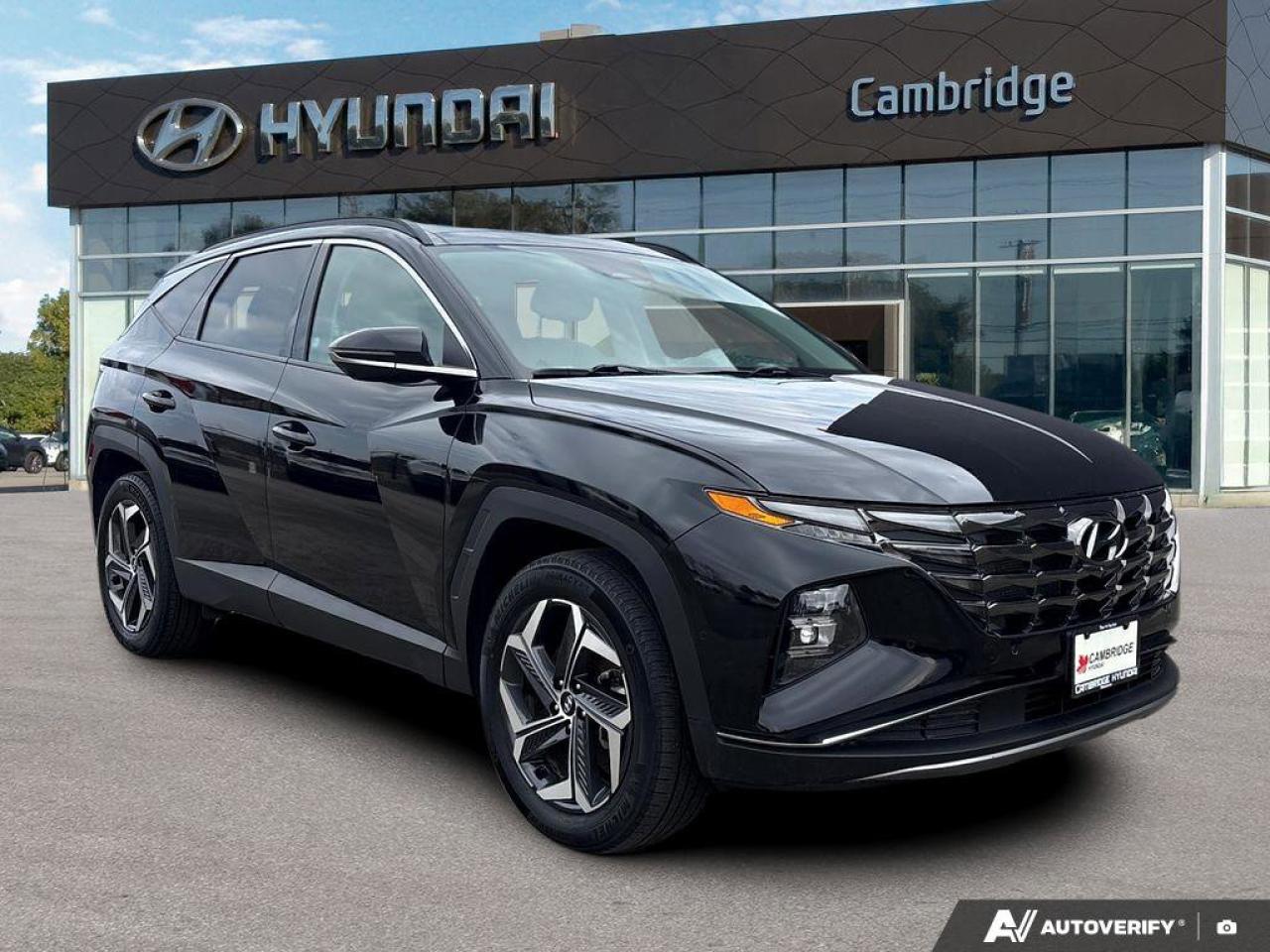 2024 Hyundai Tucson Hybrid Ultimate Photo