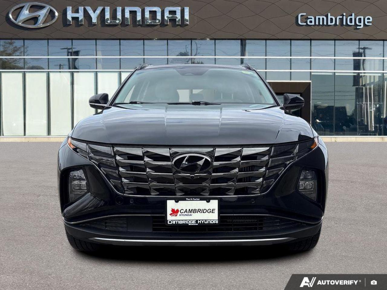 2024 Hyundai Tucson Hybrid Ultimate Photo