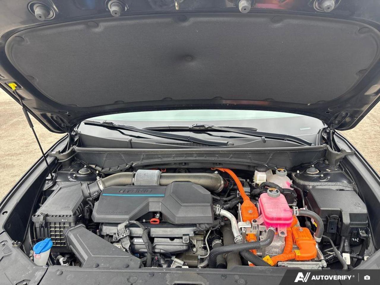 2024 Hyundai Tucson Hybrid Ultimate Photo