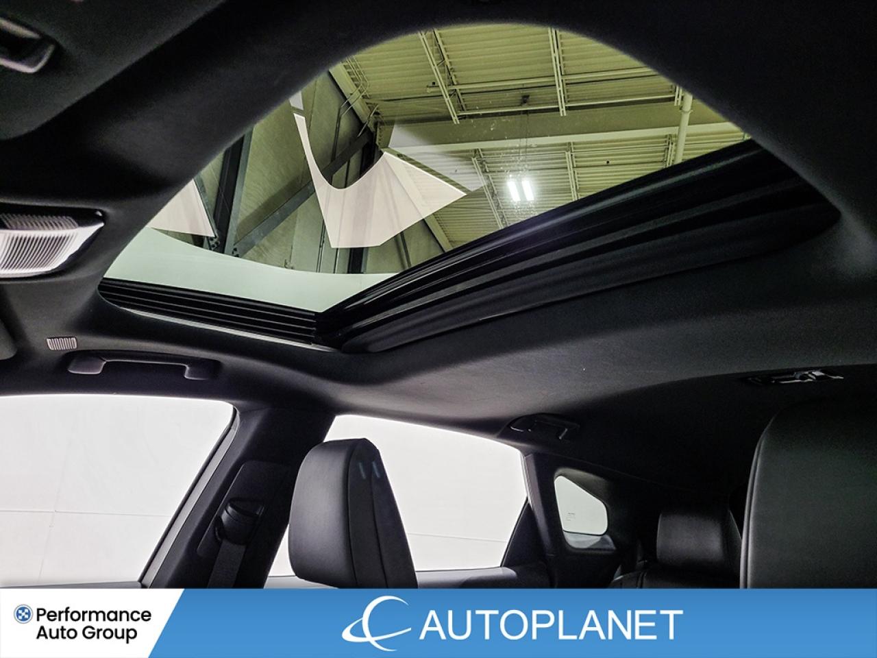 2024 Lexus RX 350H Premium AWD, Hybrid, Sunroof, Back Up Cam! Photo