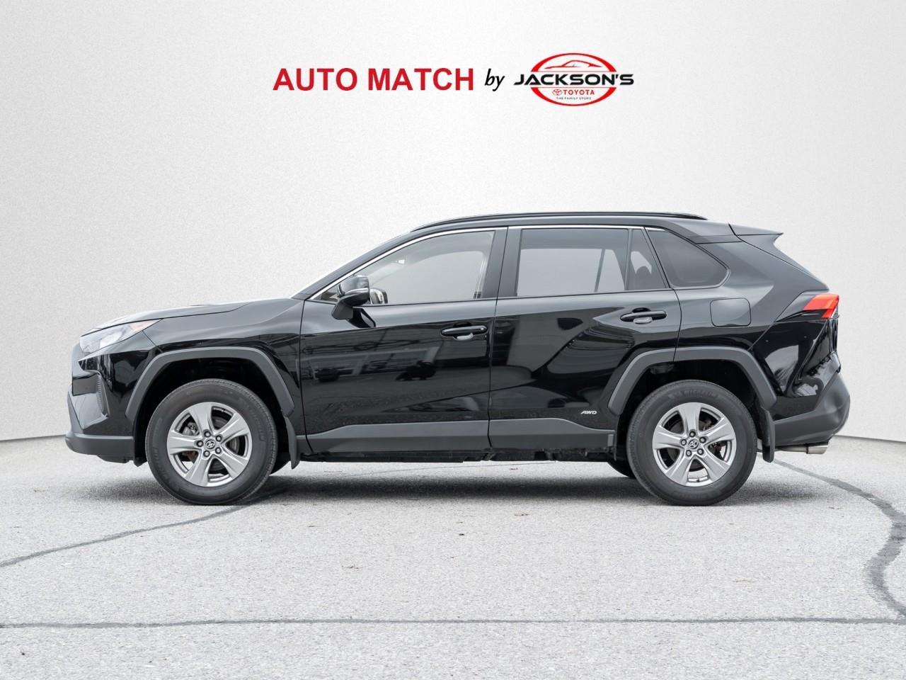 2025 Toyota RAV4 Hybrid LE 4dr All-Wheel Drive Photo