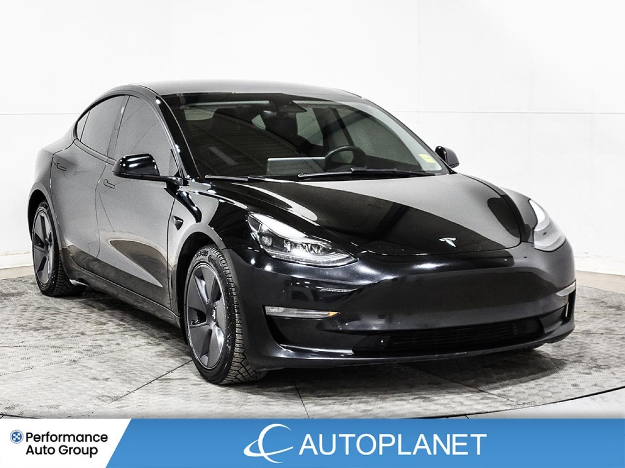 2022 Tesla Model 3 Long Range AWD! Photo
