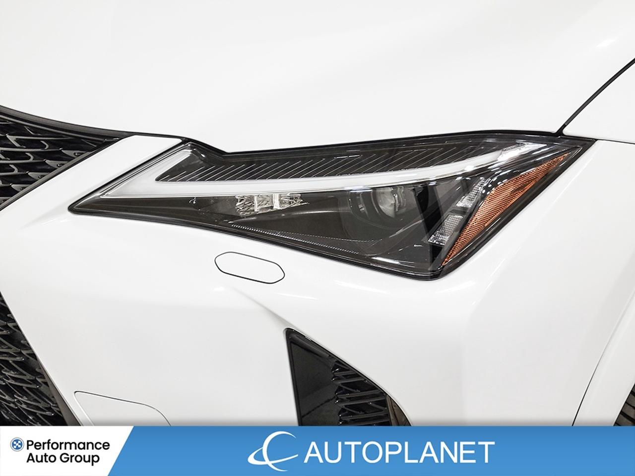 2025 Lexus UX 300H F-Sport Design - FIN. @$151/WK OR LEASE @$178/WK Photo
