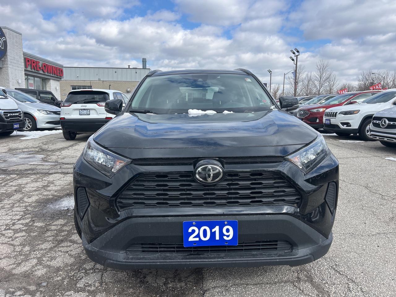 2019 Toyota RAV4 LE, Pre-Collision, Lane Departure Alert, LSD Photo