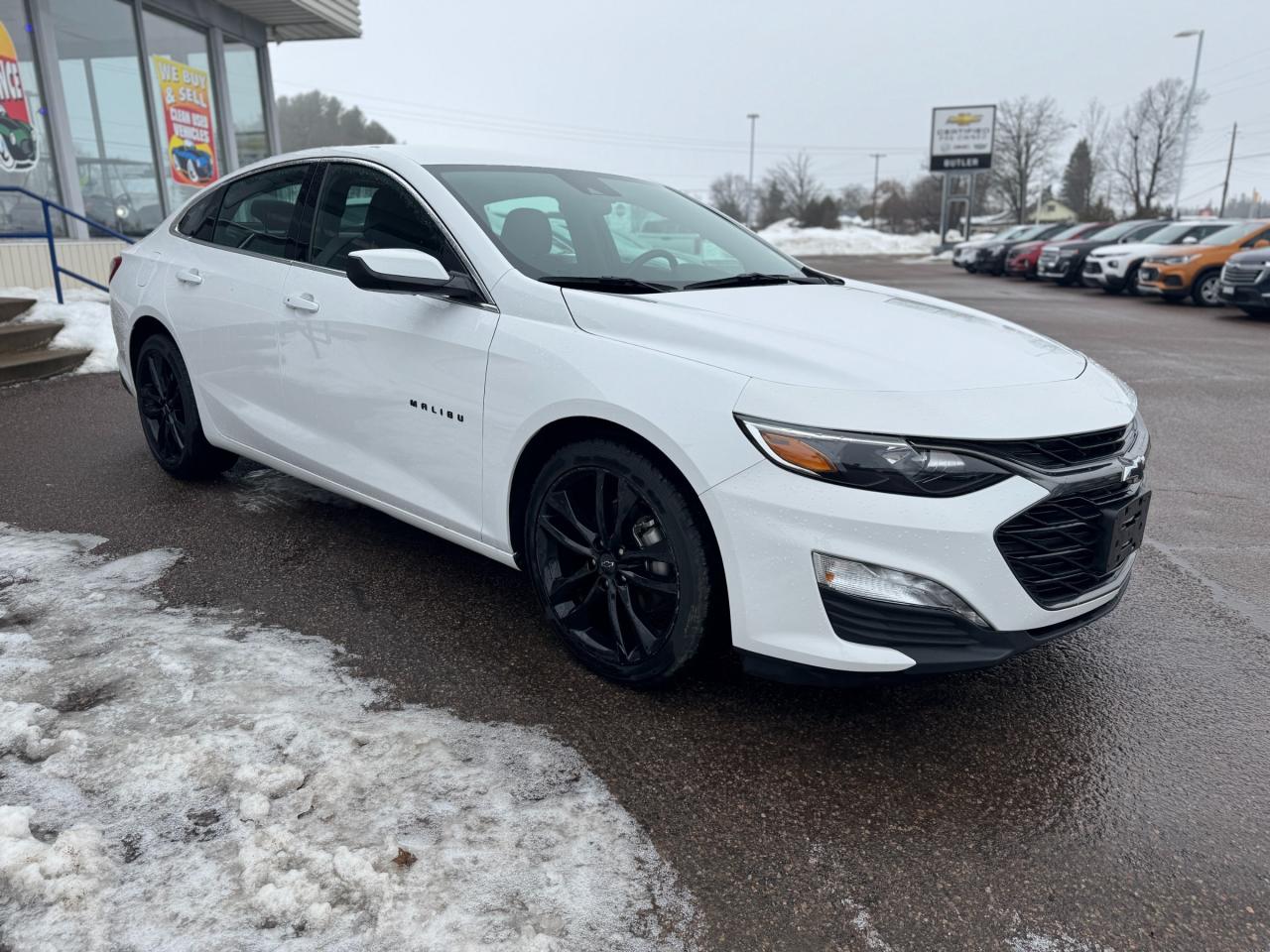 2024 Chevrolet Malibu 1LT 4dr Sedan Photo
