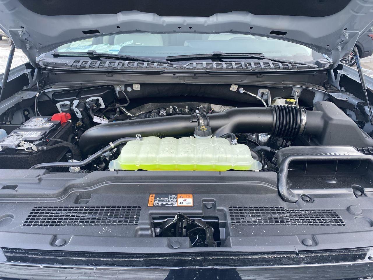 2026 Ford Expedition Platinum Max Photo