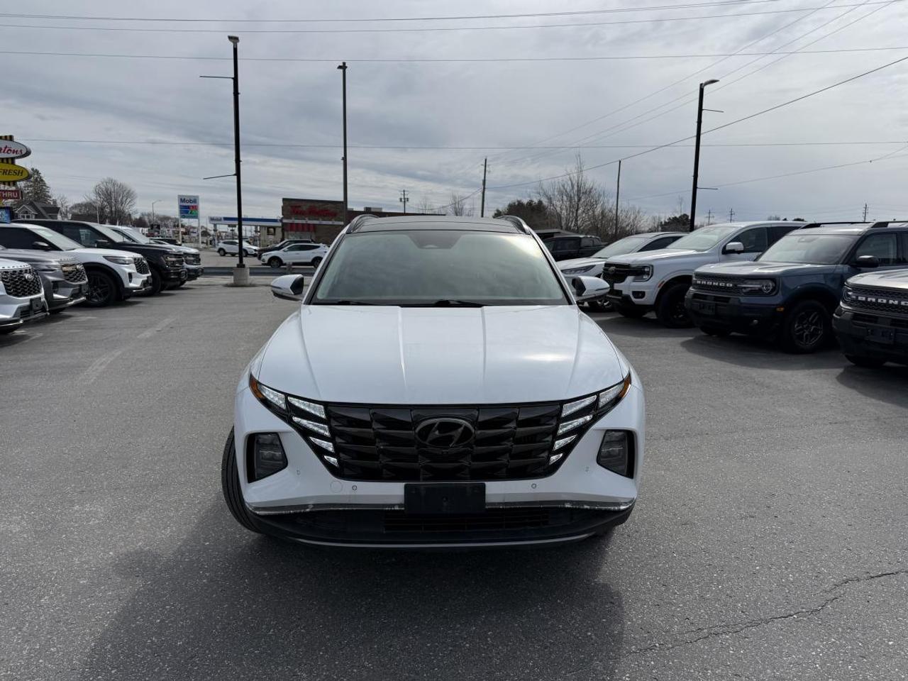 2022 Hyundai Tucson Hybrid Ultimate AWD Photo