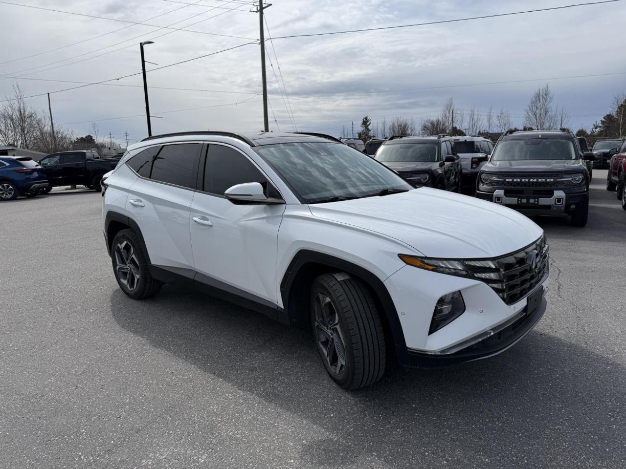 2022 Hyundai Tucson Hybrid Ultimate AWD Photo