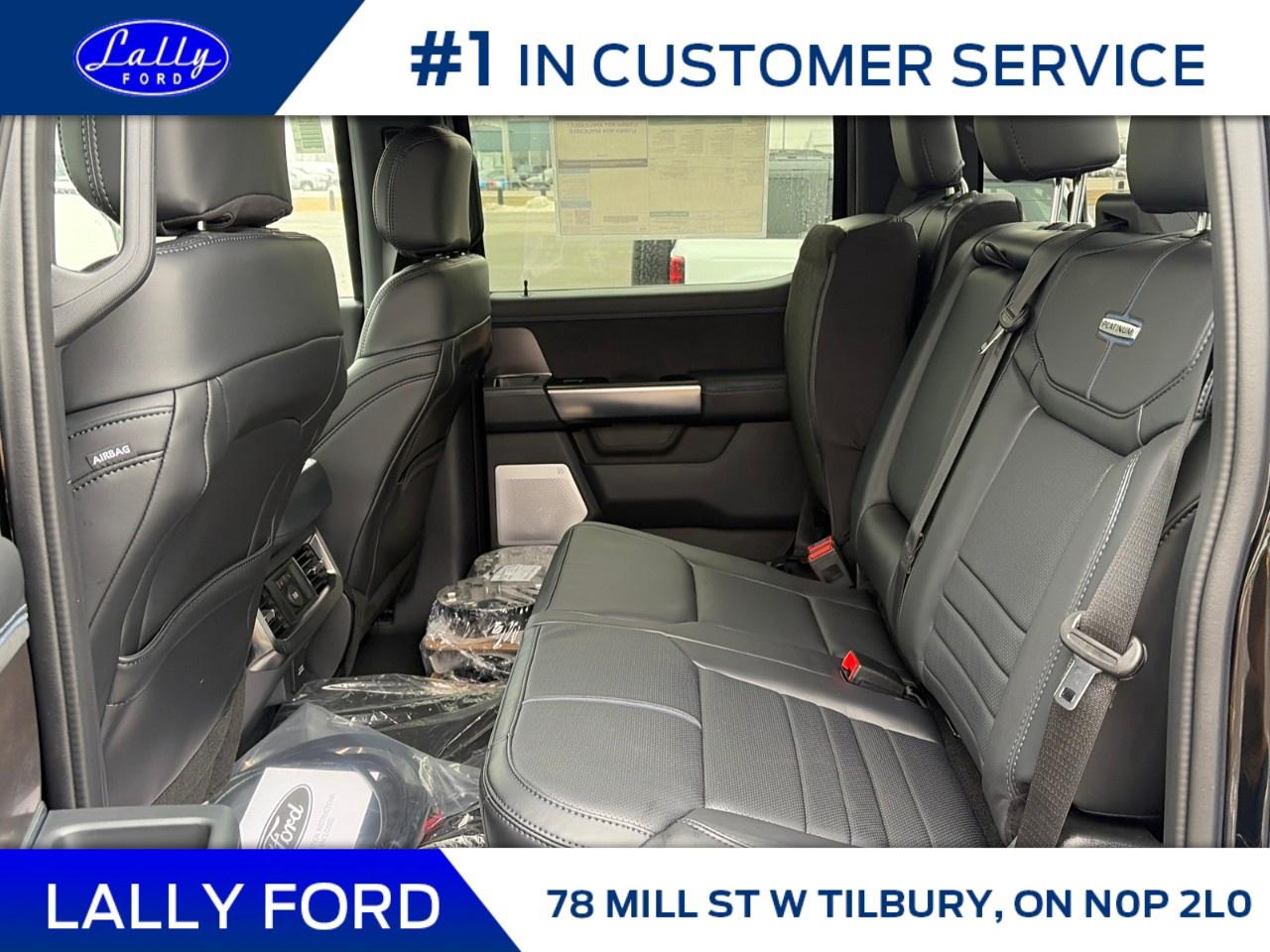 2026 Ford F-350 Super Duty SRW PLATINUM 4WD CREW CAB 6.75' BOX Photo