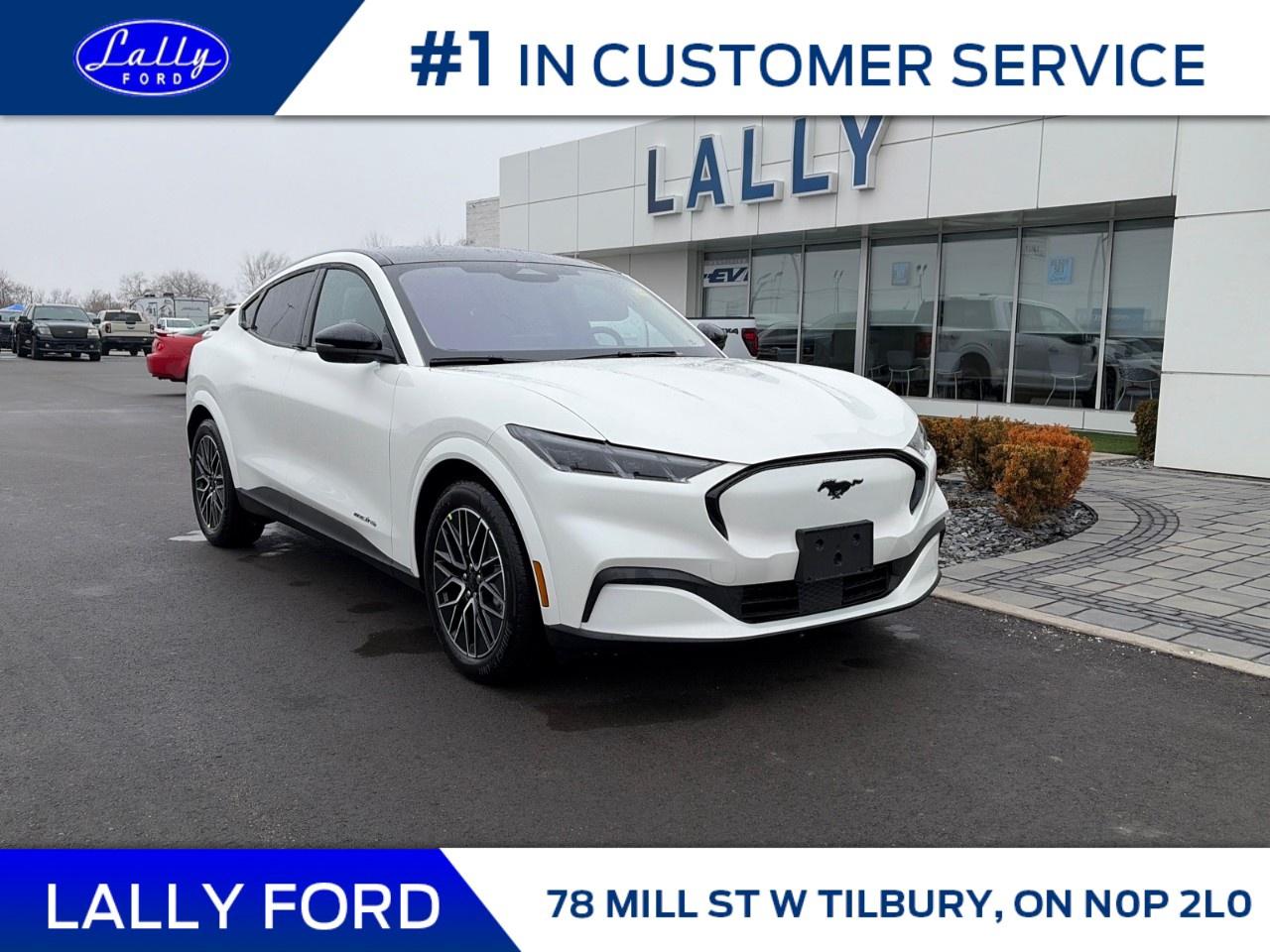 2026 Ford Mustang Mach-E Premium AWD Photo
