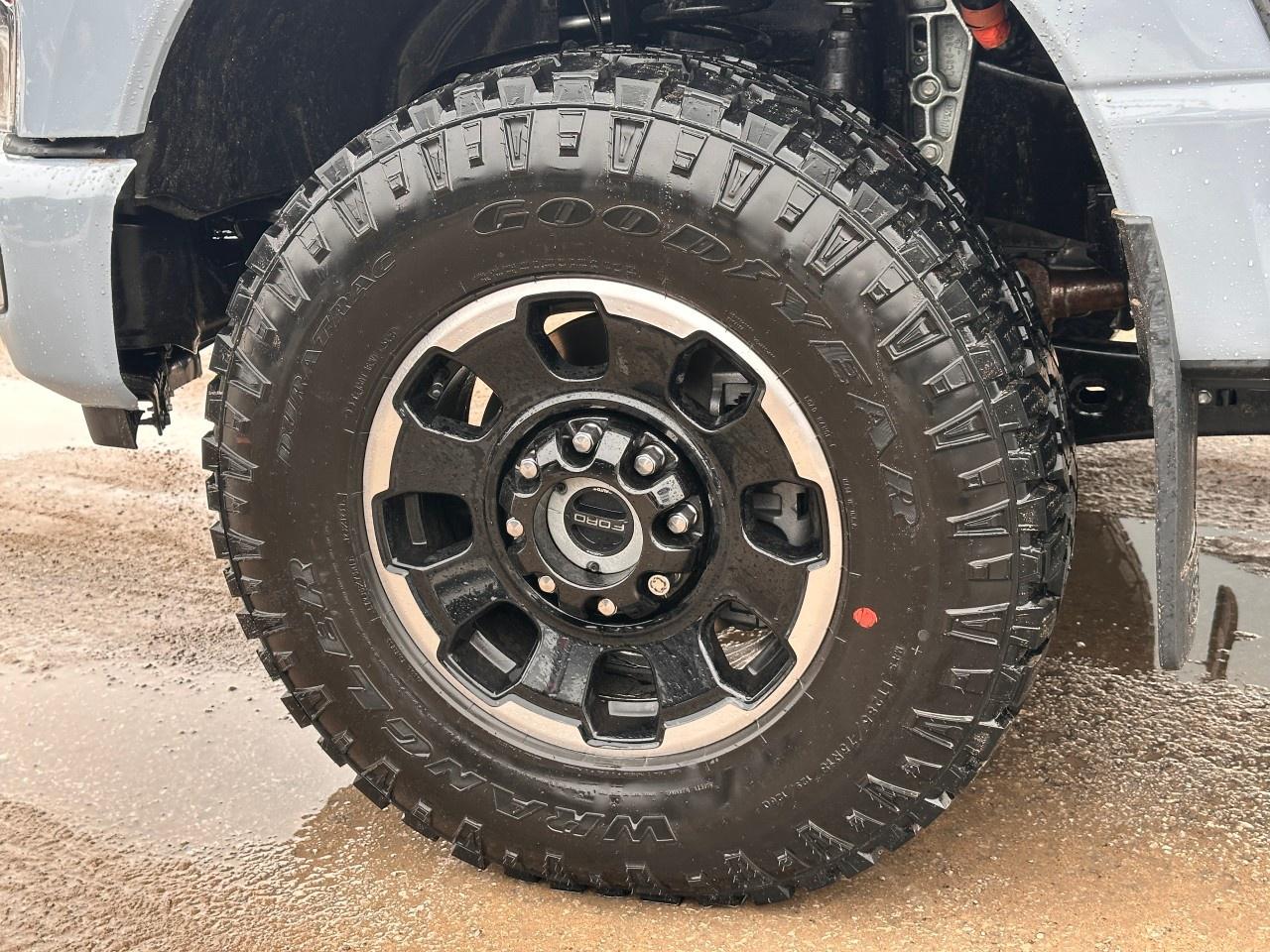 2026 Ford F-250 Super Duty SRW PLATINUM 4WD CREW CAB 6.75' BOX Photo