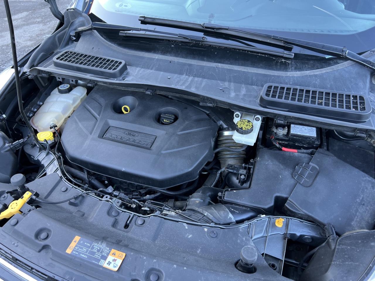 2013 Ford Escape SEL Photo