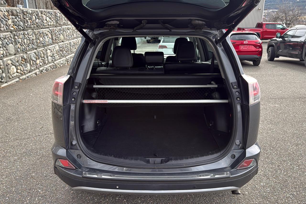 2017 Toyota RAV4 LIMITED  Photo