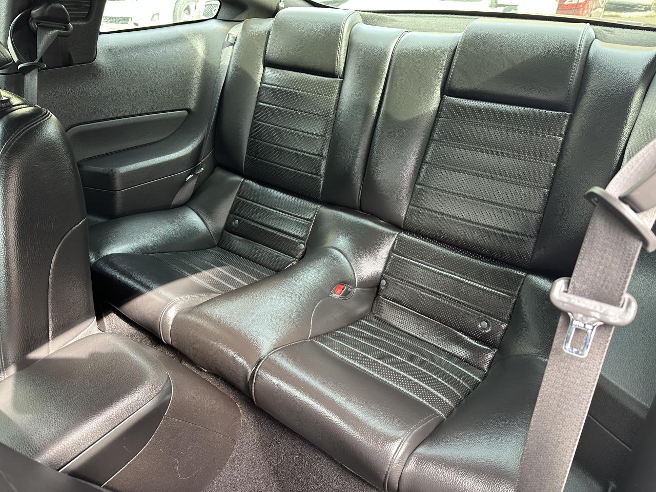 2008 Ford Mustang GT BULLITT Photo