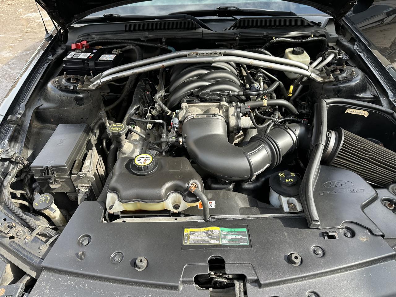 2008 Ford Mustang GT BULLITT Photo