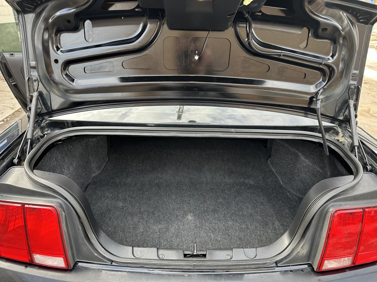 2008 Ford Mustang GT BULLITT Photo