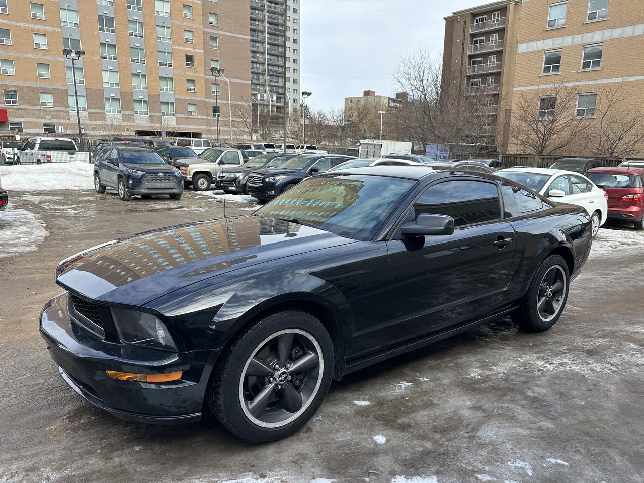 2008 Ford Mustang GT BULLITT Photo2