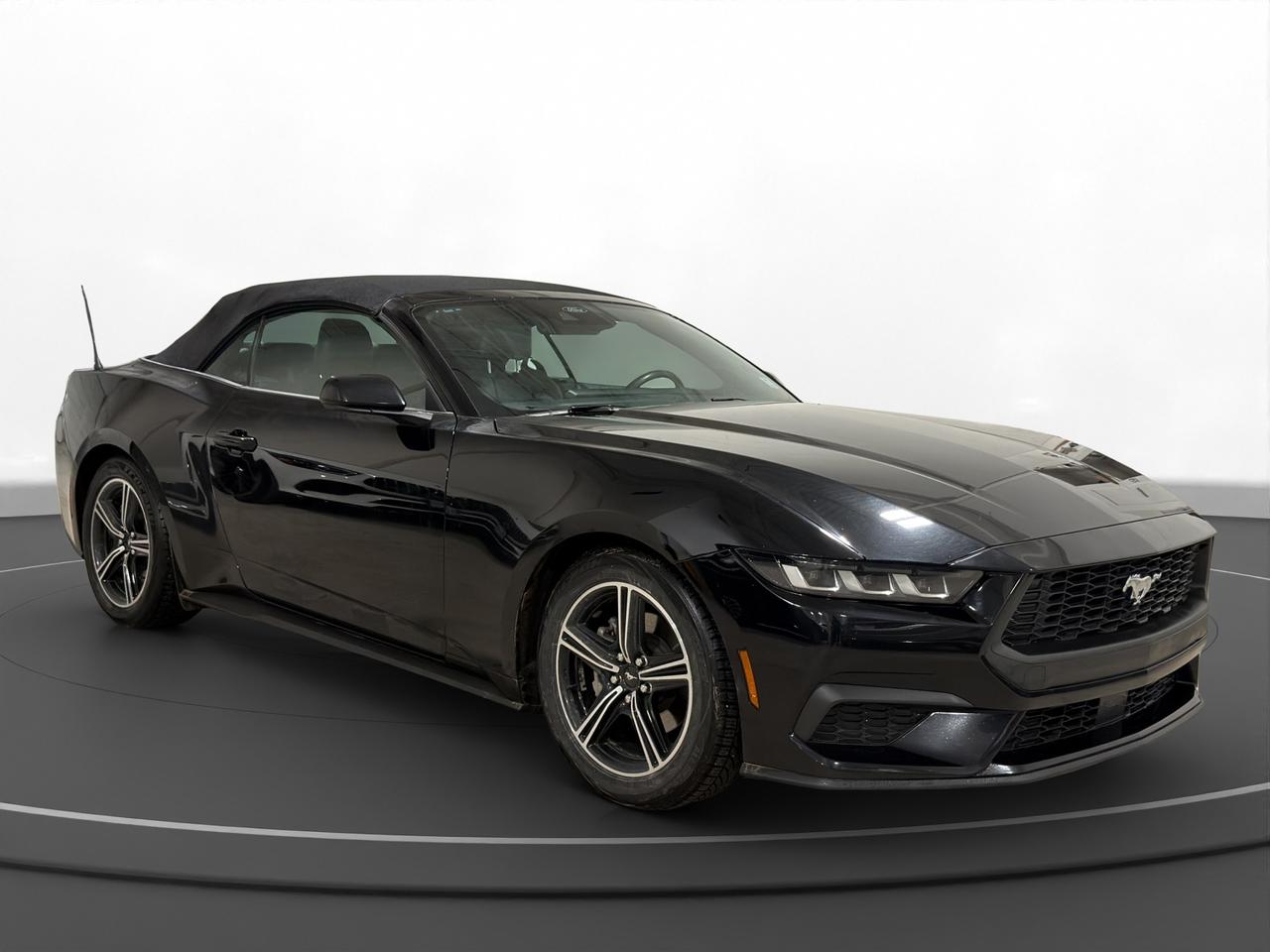2024 Ford Mustang EcoBoost | Premium PKG | CONVERTIBLE | Photo