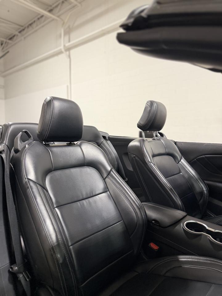 2024 Ford Mustang EcoBoost | Premium PKG | CONVERTIBLE | Photo