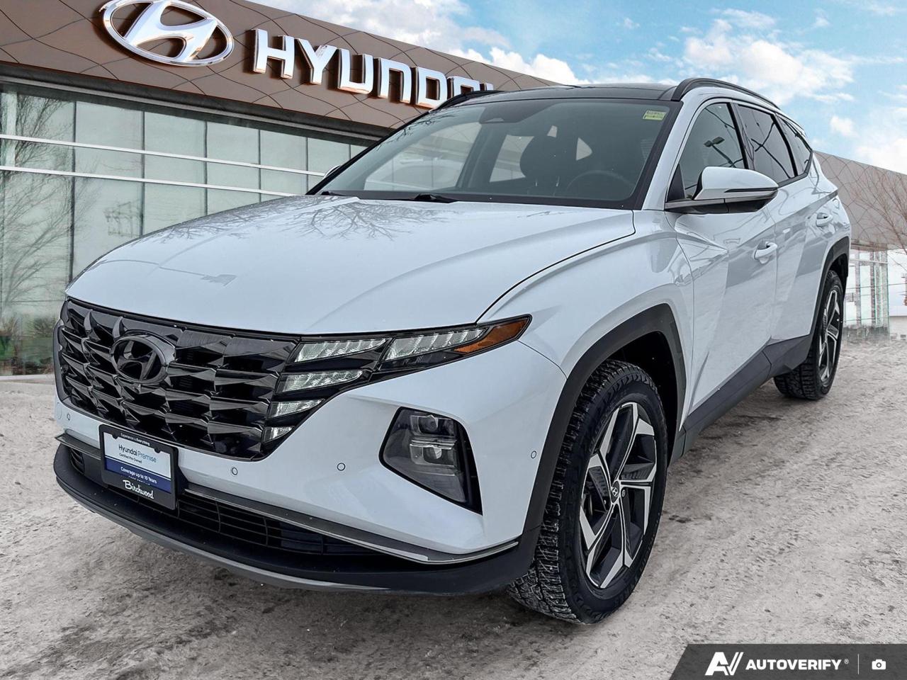 Used 2023 Hyundai Tucson Hybrid Ultimate Certified | 3.99% Available for sale in Winnipeg, MB