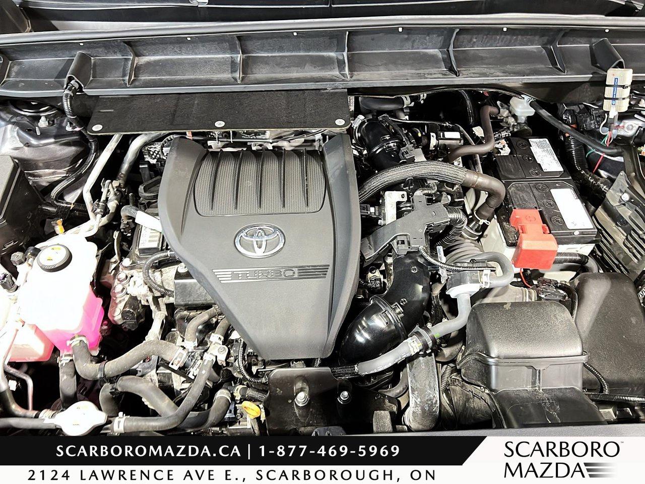 2024 Toyota Highlander LIMITED  Photo