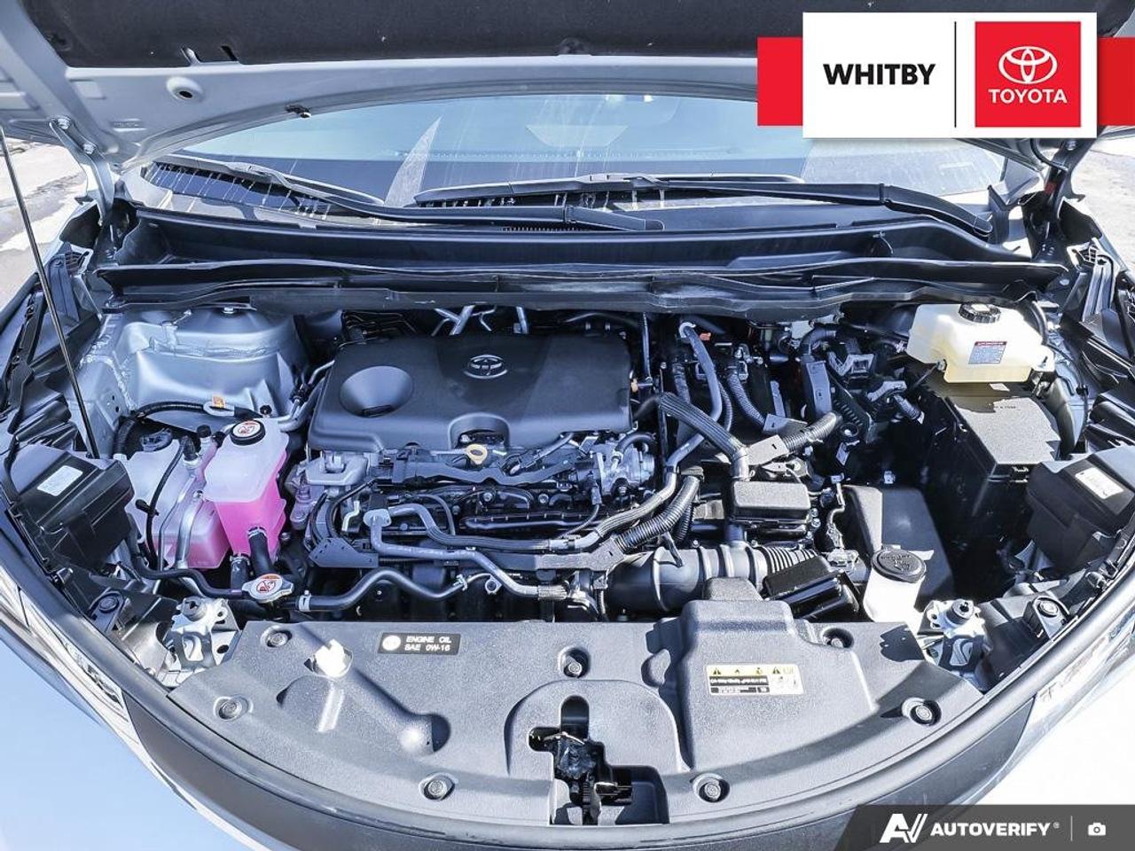 2025 Toyota Sienna XLE Hybrid 2.5L Photo