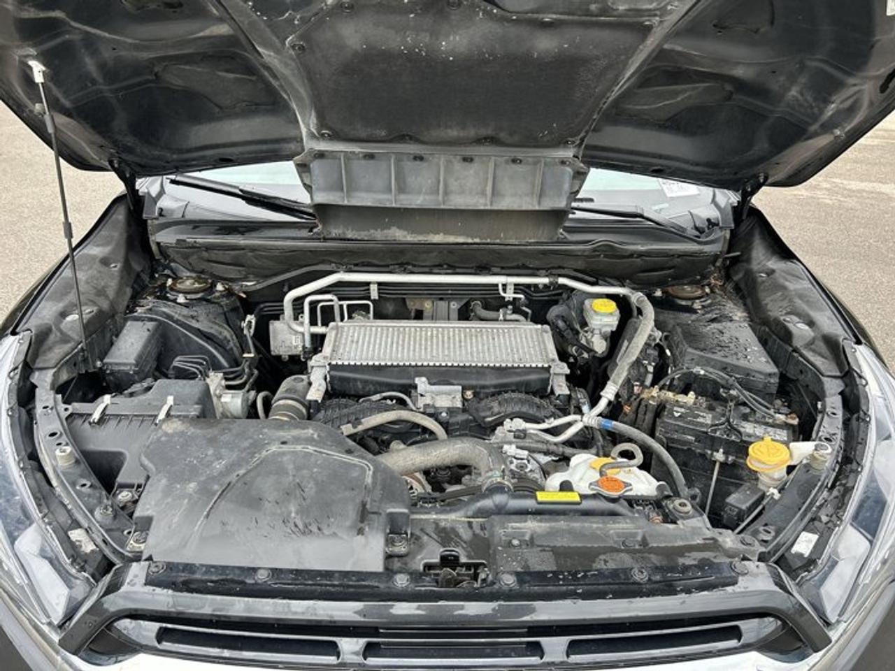 2023 Subaru ASCENT Convenience 8-Passenger AWD | No accidents Photo