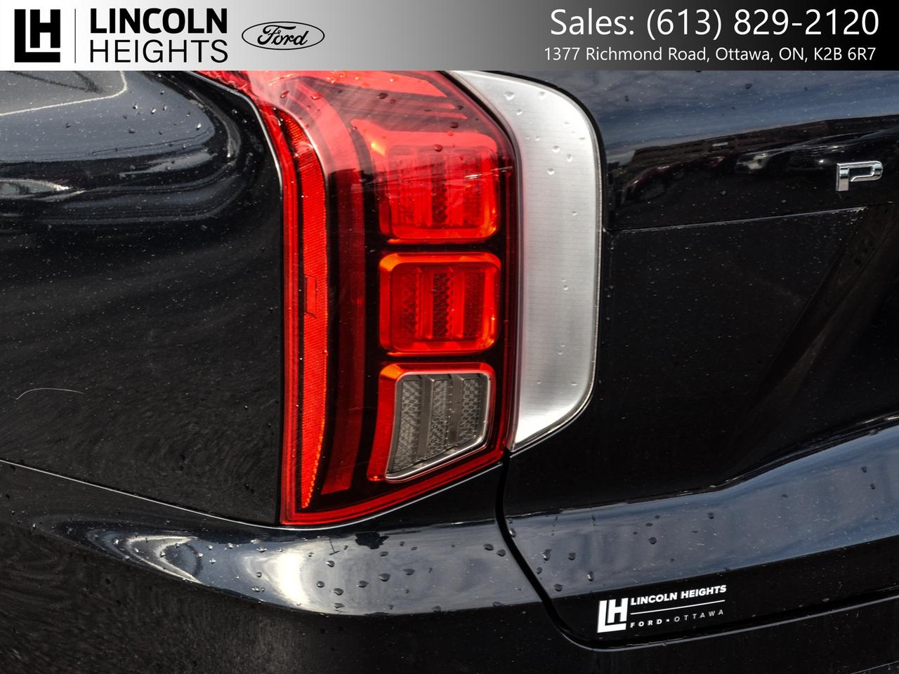 2020 Hyundai PALISADE  Photo