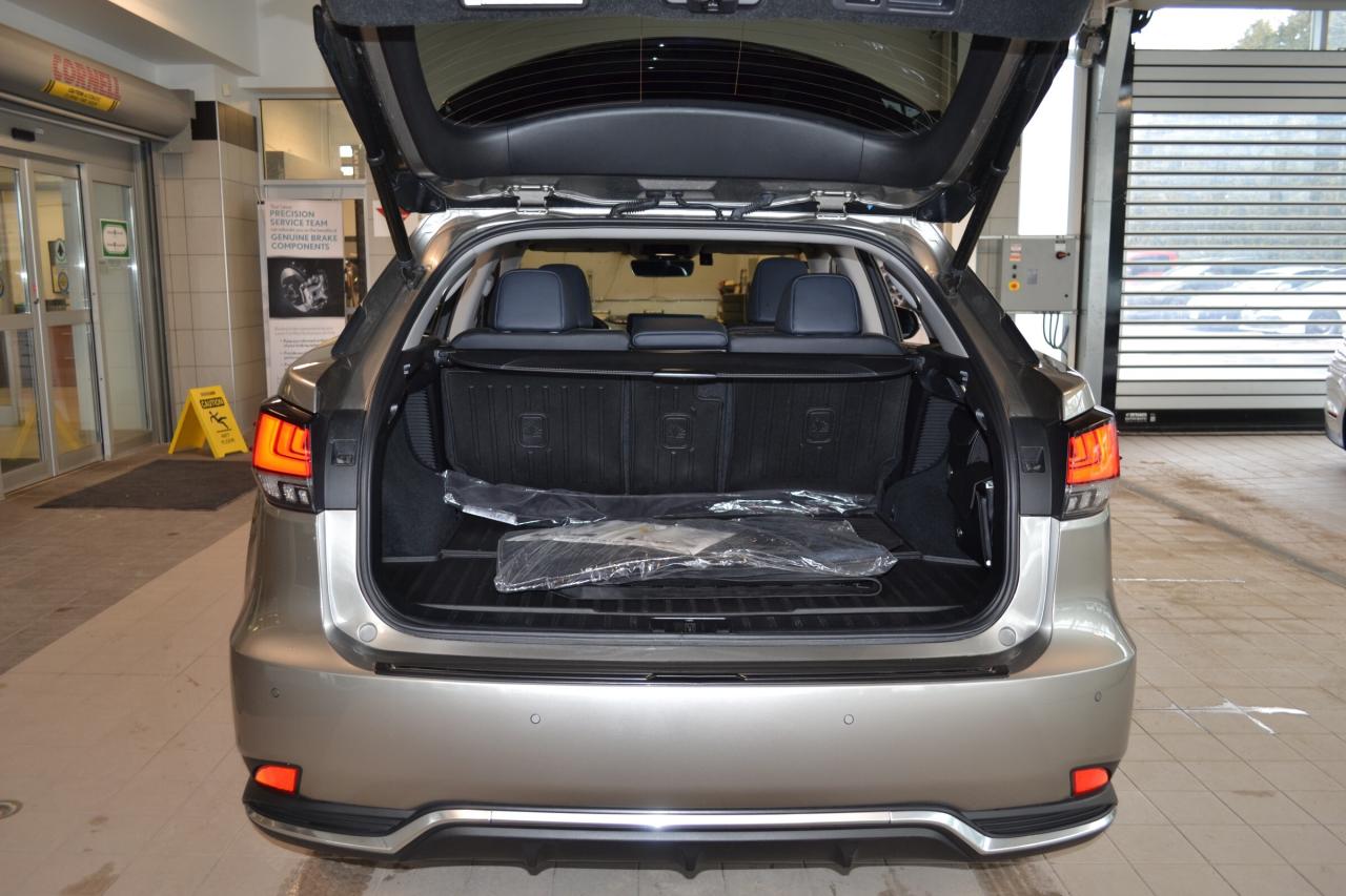 2022 Lexus RX 450h  Photo