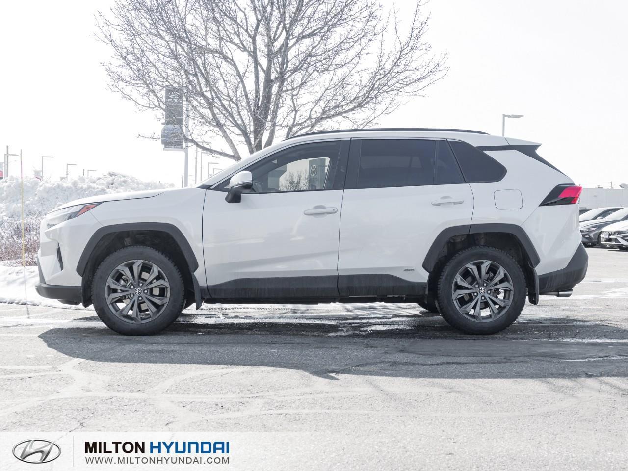 2025 Toyota RAV4 Hybrid XLE 4dr All-Wheel Drive Photo