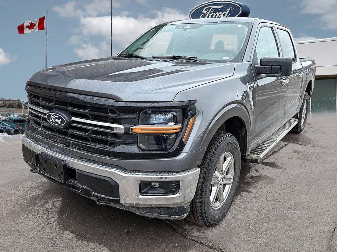 2025 Ford F-150 XLT   CLASS IV TRLR HITCH   REAR CAMERA Photo