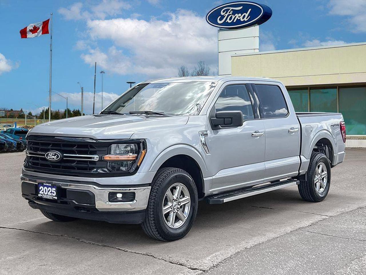 2025 Ford F-150 XLT   FORMER RENTAL   REAR CAMERA   TRAILER HITCH Photo