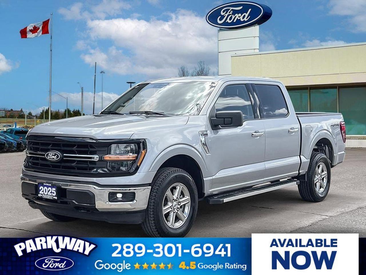 2025 Ford F-150 XLT   FORMER RENTAL   REAR CAMERA   TRAILER HITCH Photo0