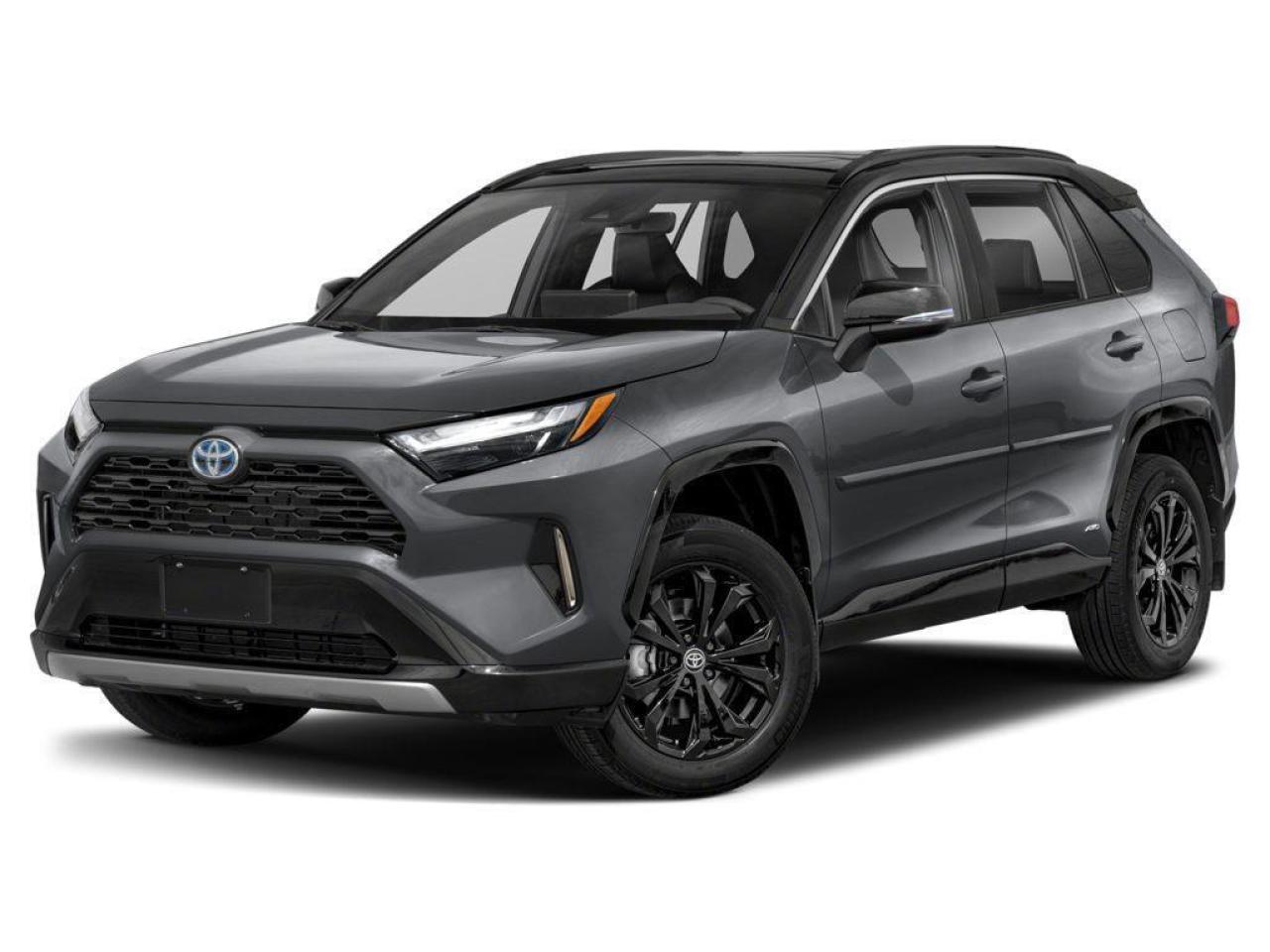 2024 Toyota RAV4 Hybrid XSE Photo0