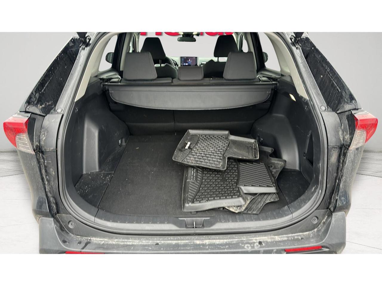 2025 Toyota RAV4 XLE Photo