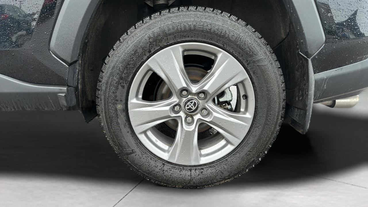 2025 Toyota RAV4 XLE Photo