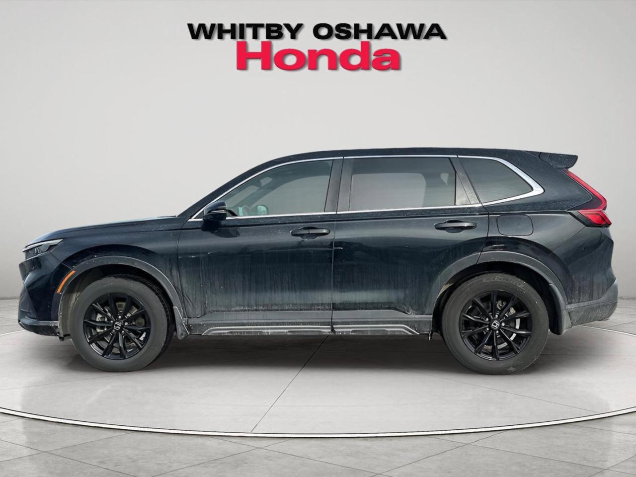 2024 Honda CR-V Hybrid EX-L Photo