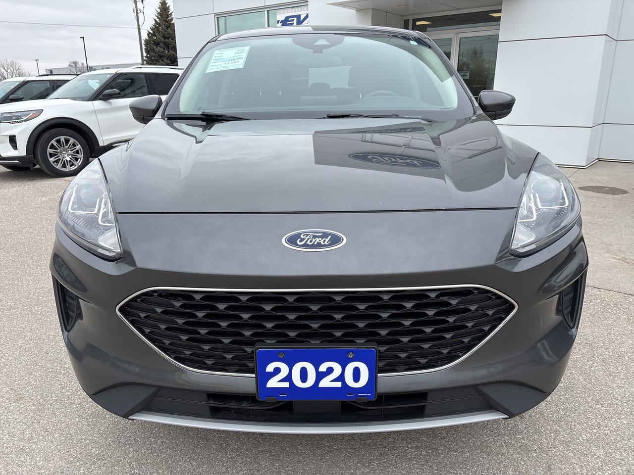 2020 Ford Escape SE AWD Photo