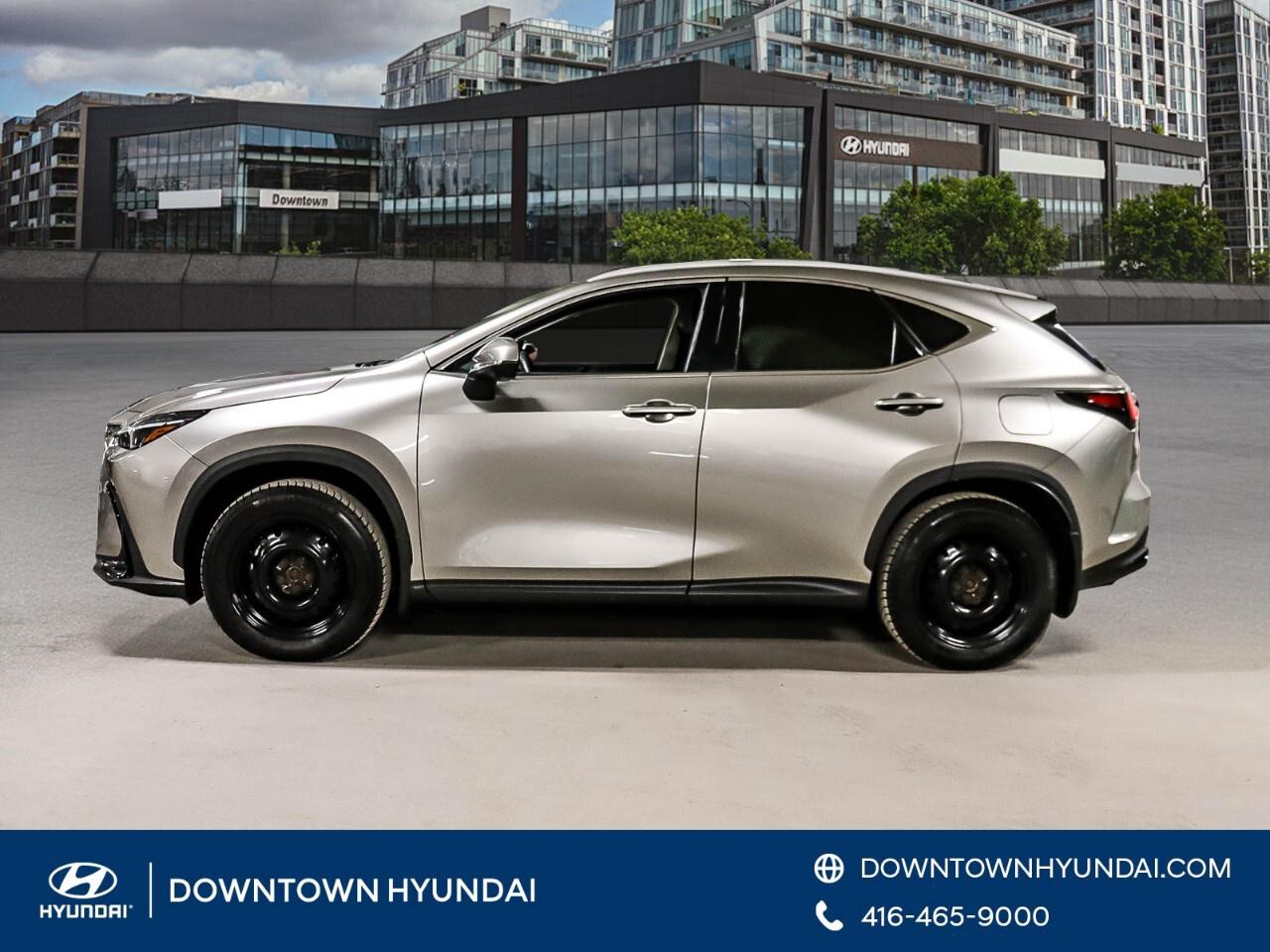 2024 Lexus NX NX 350h AWD Photo4