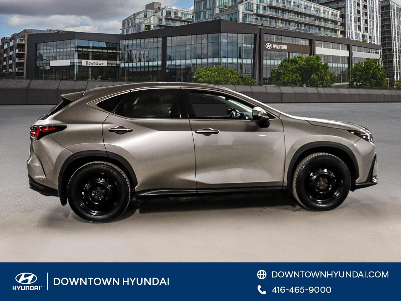 2024 Lexus NX NX 350h AWD Photo2