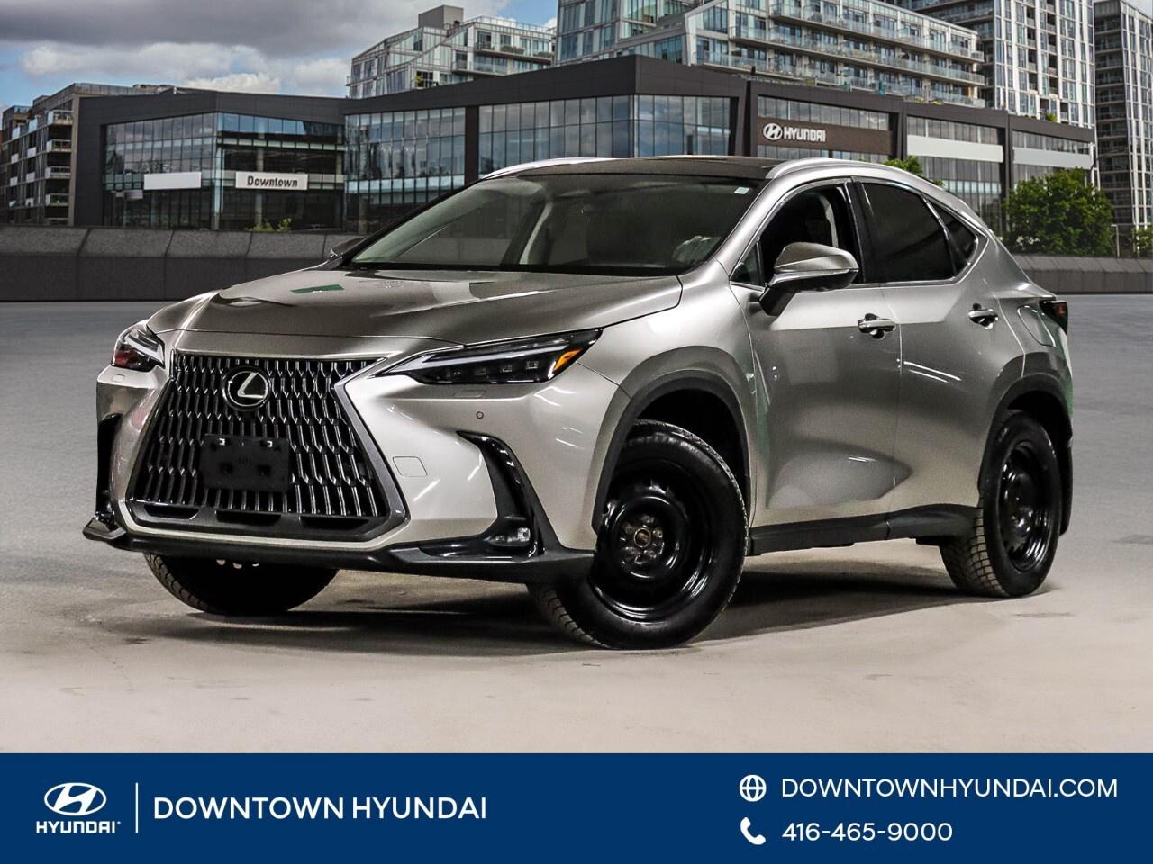 2024 Lexus NX NX 350h AWD Photo