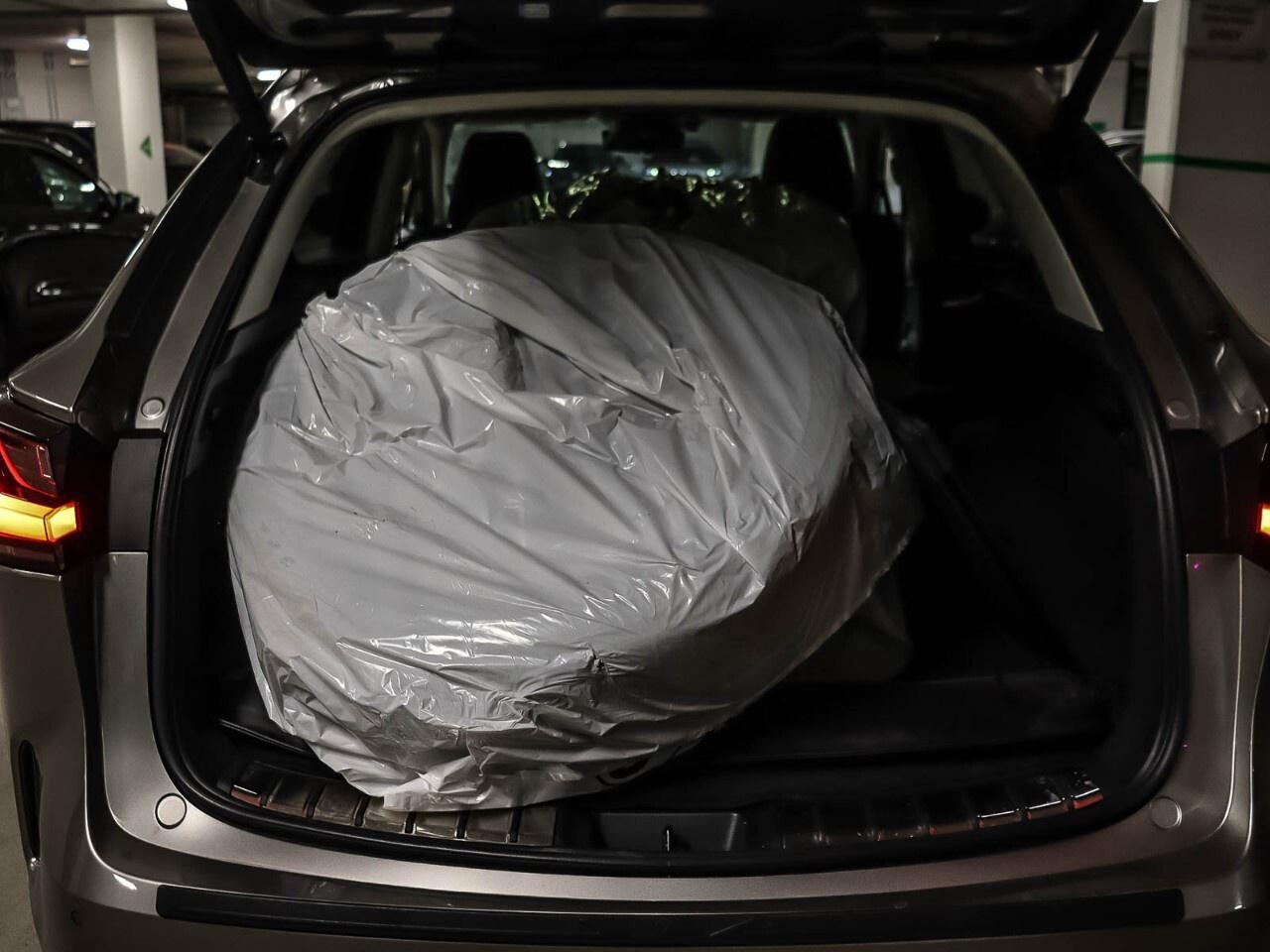 2024 Lexus NX NX 350h AWD Photo