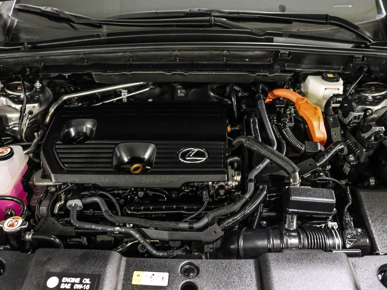 2024 Lexus NX NX 350h AWD Photo