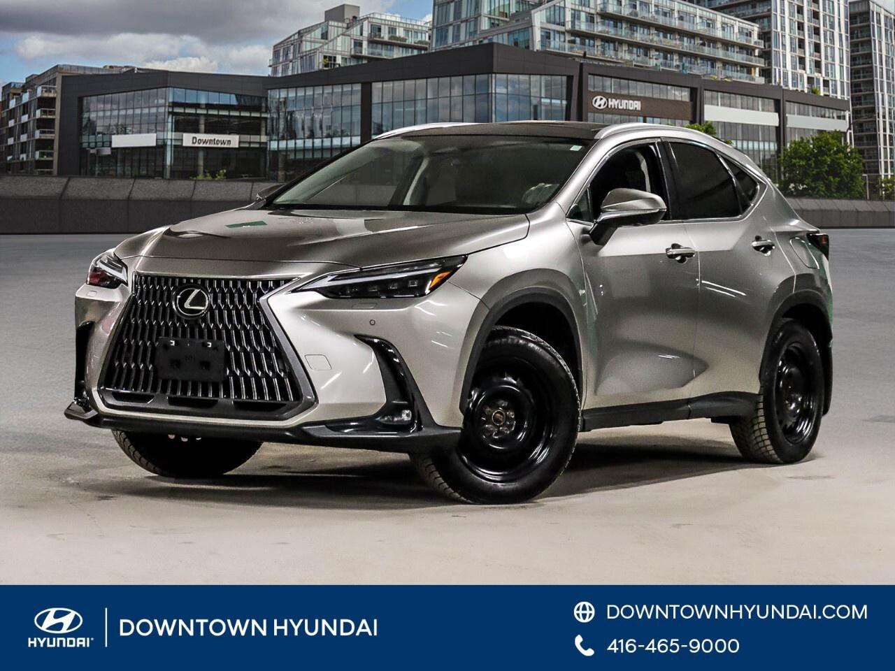 2024 Lexus NX NX 350h AWD Photo0
