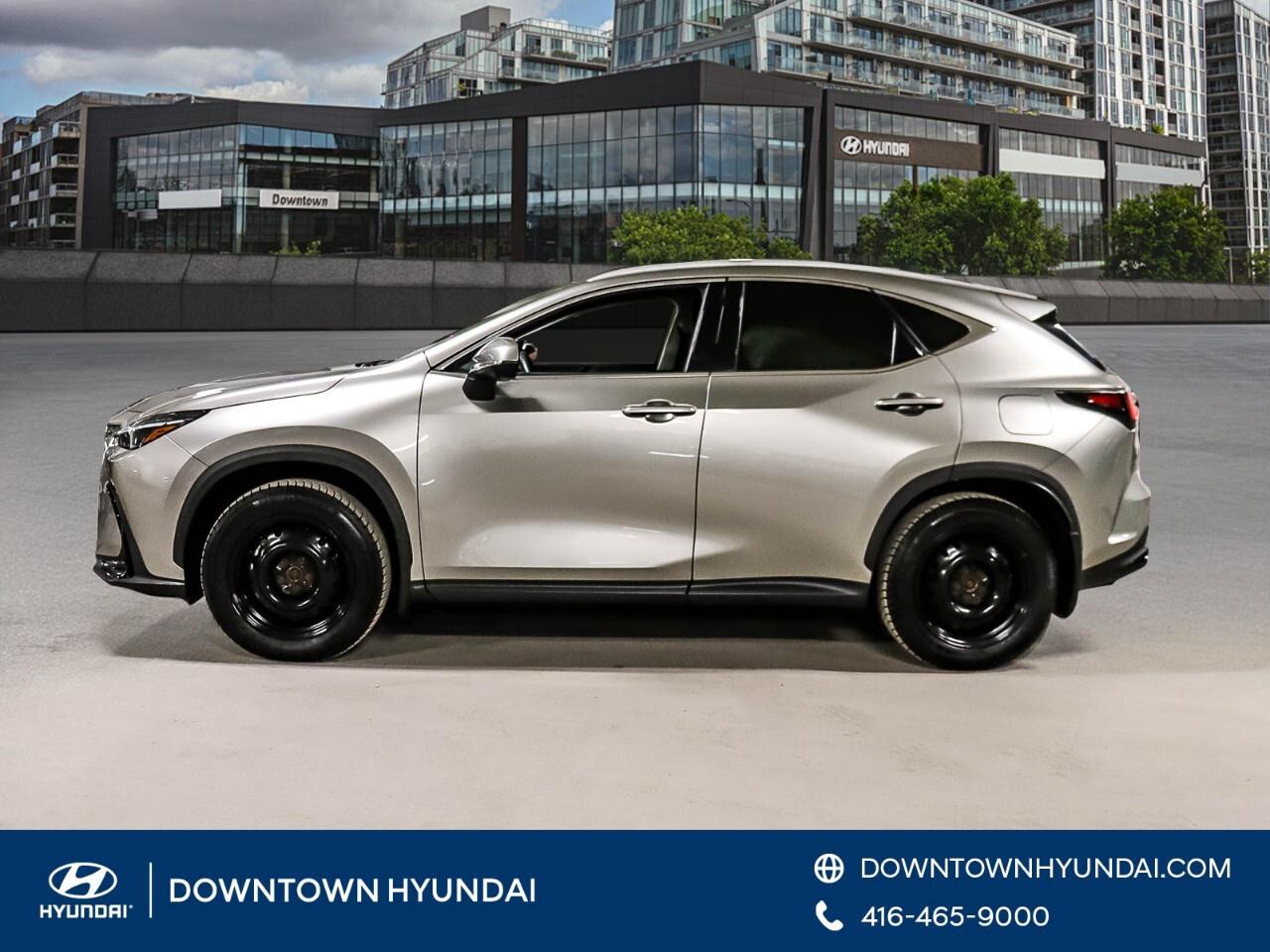 2024 Lexus NX NX 350h AWD Photo