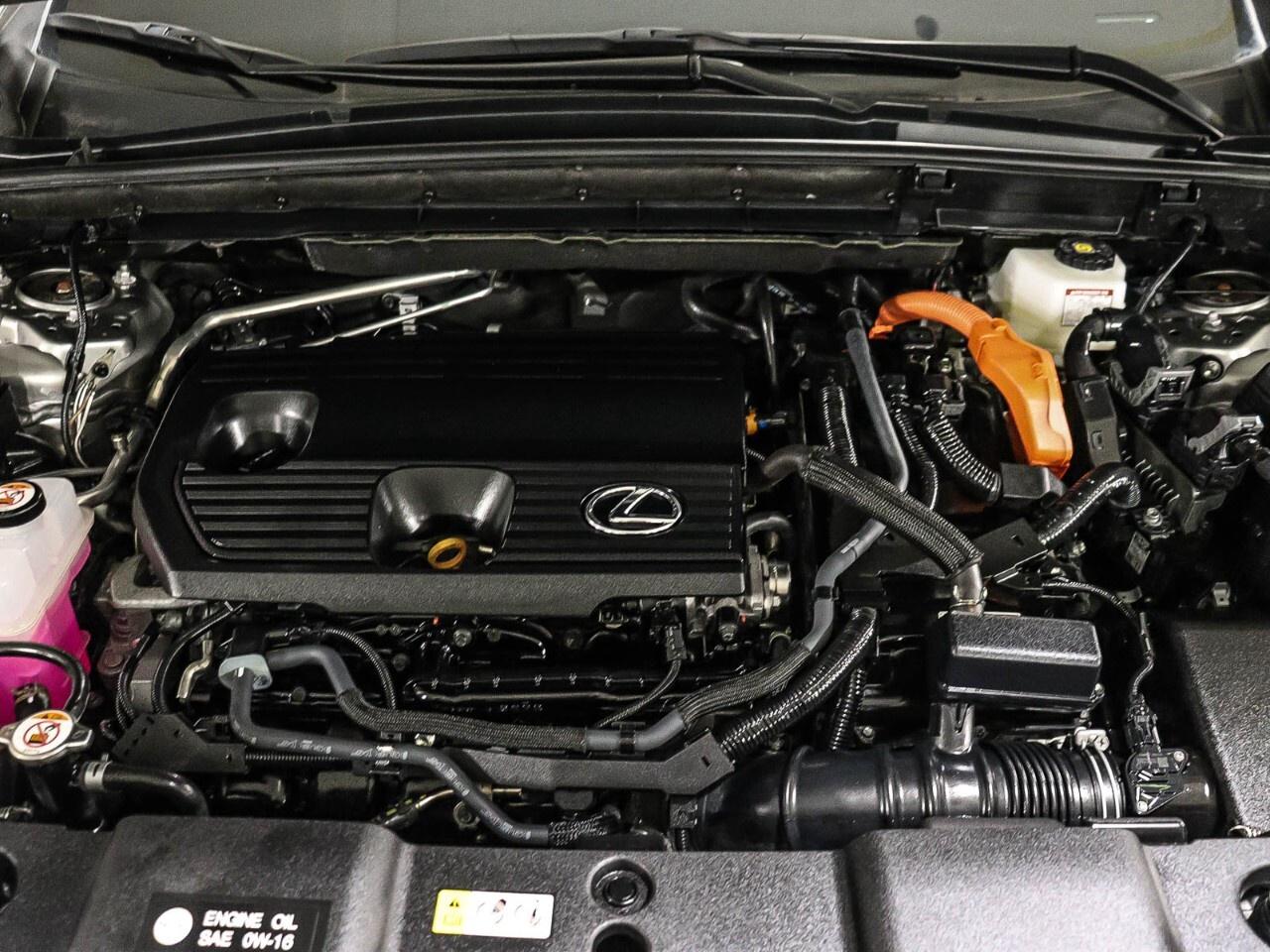 2024 Lexus NX NX 350h AWD Photo