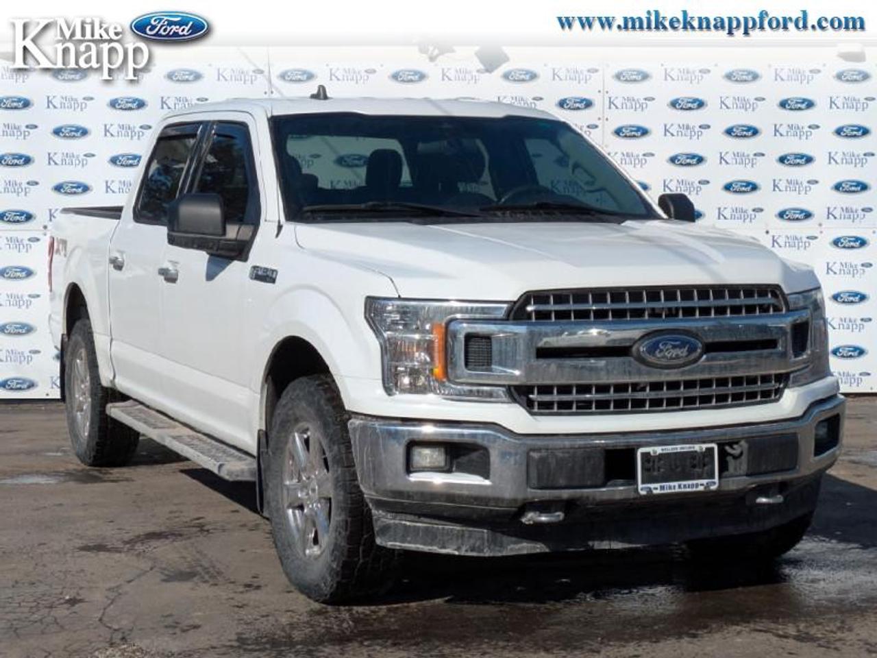 2019 Ford F-150 XLT Photo