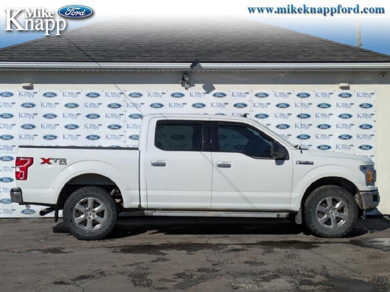 2019 Ford F-150 XLT Photo